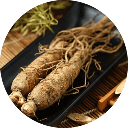 Panax Ginseng Extract for Mental Energy